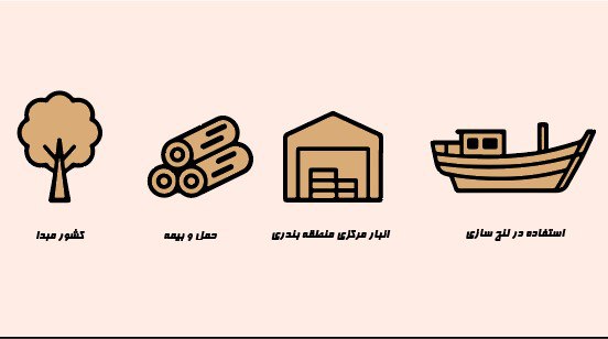 از واردات تا لنجسازی | تأمین چوب دریایی با هلدینگ مهدیانی